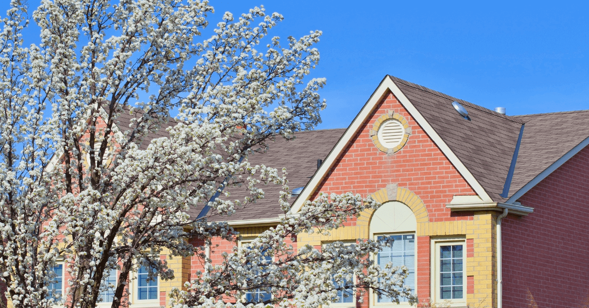 brick house in spring next to blooming tree