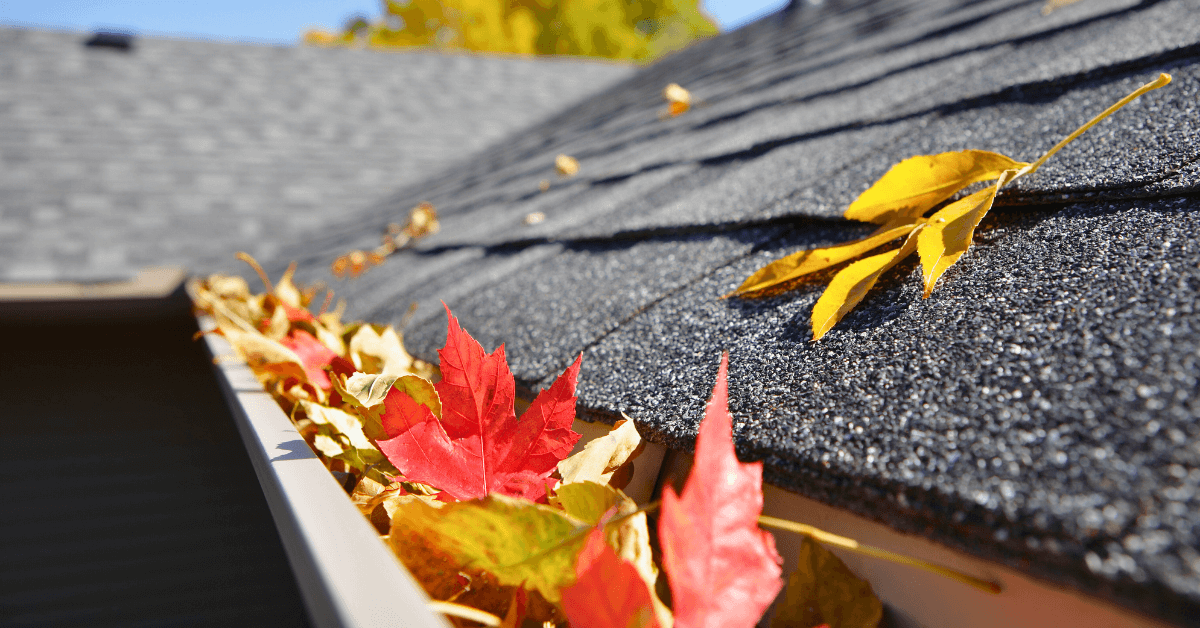 gutters on roof filled with fall leaves