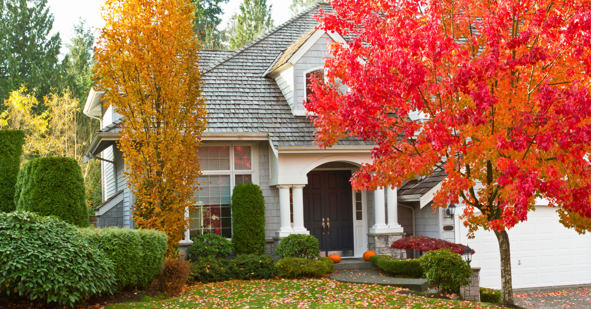 house in fall in need of a residential roof replacement