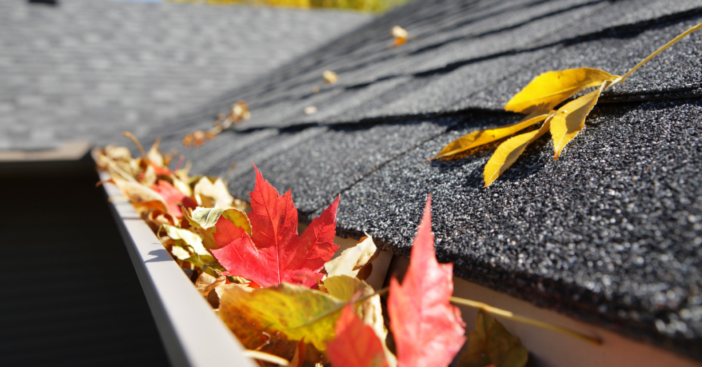 Clogged Gutters on Asphalt Shingle Roof